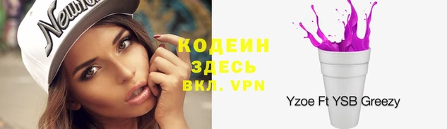 прущие грибы Аркадак