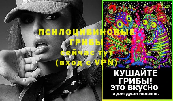 прущие грибы Аркадак