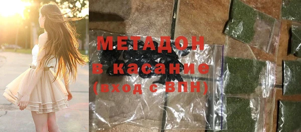 прущие грибы Аркадак