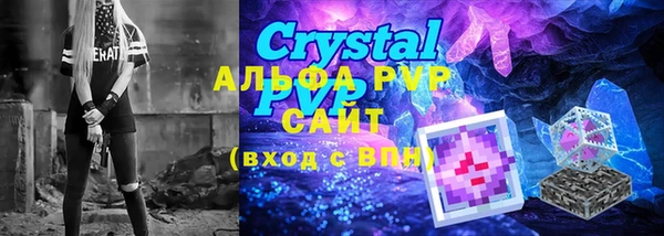 прущие грибы Аркадак