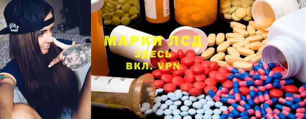 прущие грибы Аркадак